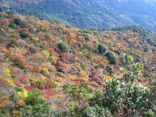 c0179351_21203318.jpg