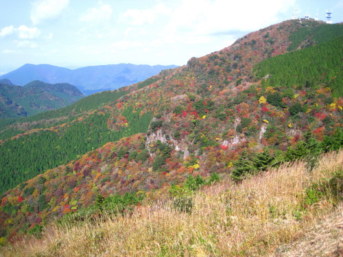 c0179351_2123225.jpg