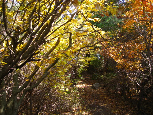 c0179351_21244767.jpg