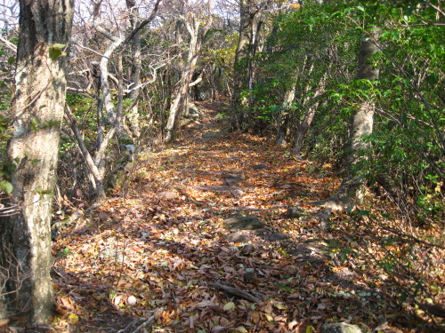 c0179351_21253740.jpg