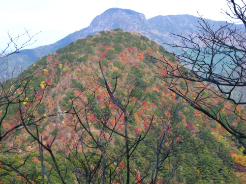 c0179351_21274165.jpg
