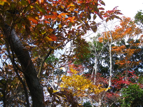 c0179351_21283191.jpg