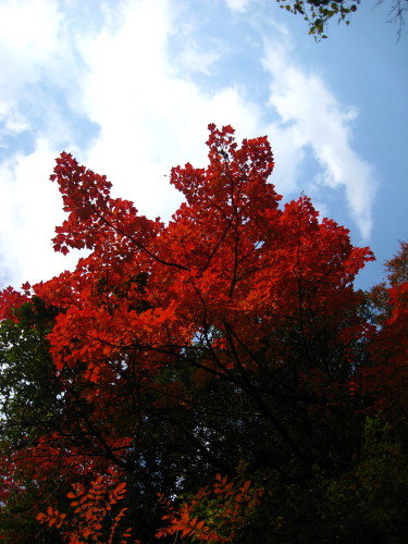 c0179351_21373550.jpg