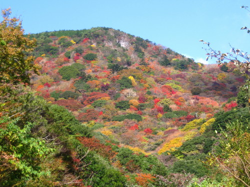 c0179351_21375656.jpg