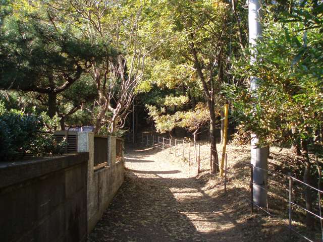 b0119953_19294523.jpg