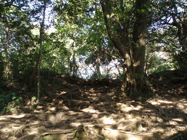 b0119953_19395233.jpg