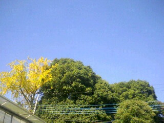 e0110055_1274190.jpg