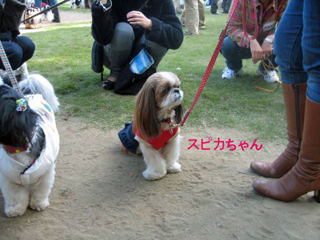 c0162160_11341427.jpg