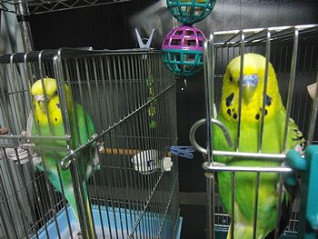 f0196665_0115740.jpg