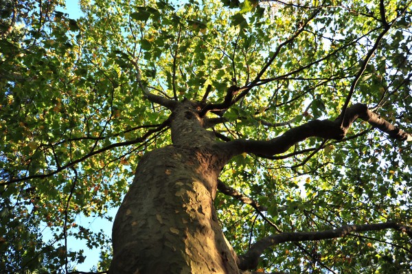 e0020166_19534377.jpg