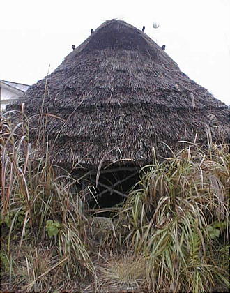 f0215268_13365052.jpg
