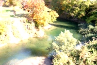 c0057781_1458137.jpg