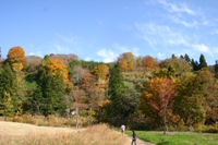 c0057781_14583254.jpg