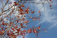 c0057781_14584968.jpg