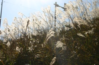 c0057781_1459675.jpg