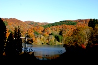 c0057781_15123353.jpg