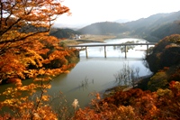 c0057781_1513616.jpg