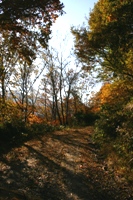 c0057781_1525871.jpg