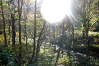 c0057781_1551545.jpg