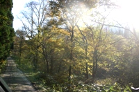 c0057781_155160.jpg