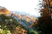 c0057781_155571.jpg