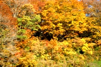 c0057781_1592760.jpg