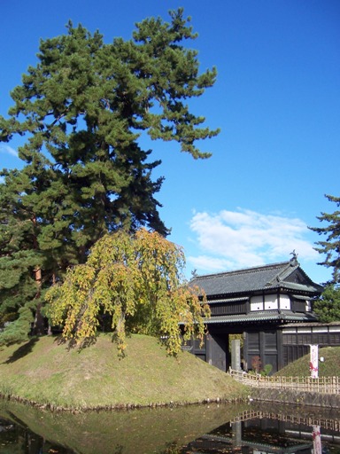 c0198781_12405926.jpg