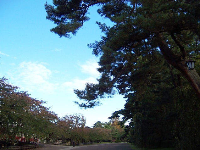 c0198781_12413385.jpg