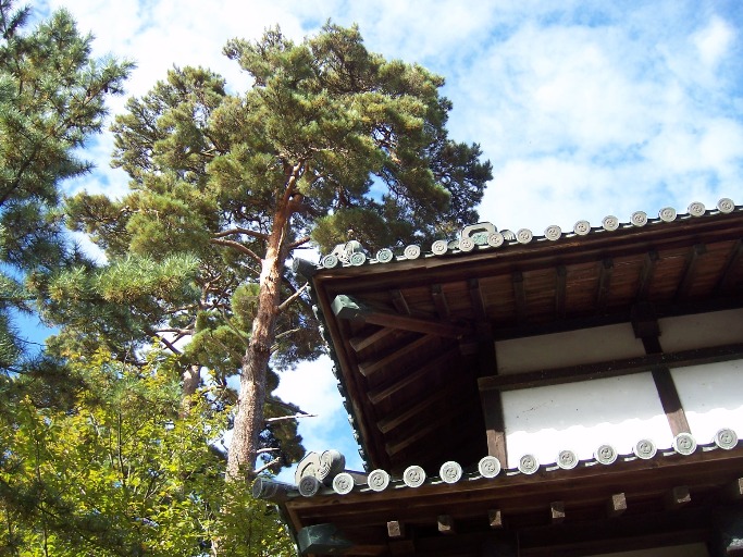 c0198781_12415859.jpg