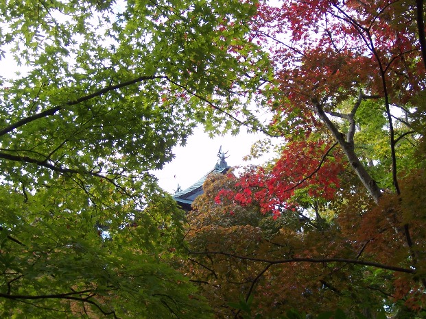 c0198781_12421186.jpg