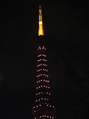 f0039281_14514145.jpg