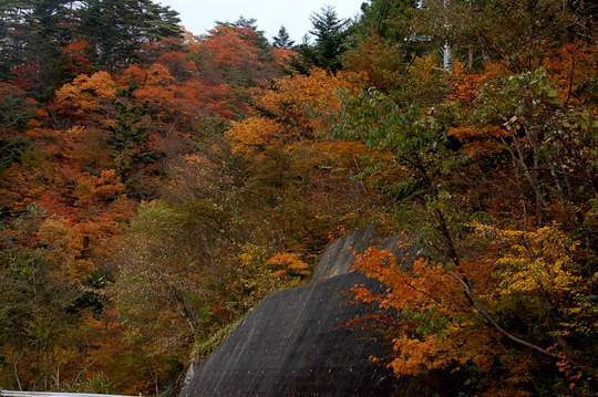 b0203588_19112717.jpg