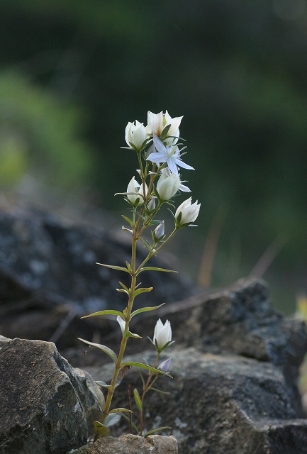 f0000789_16103721.jpg