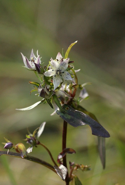 f0000789_1685481.jpg