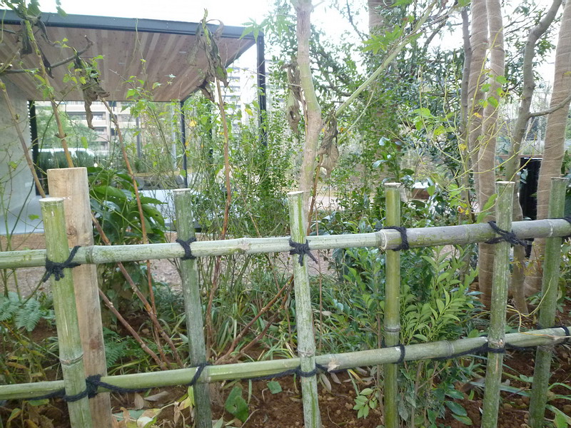 c0138198_9152645.jpg