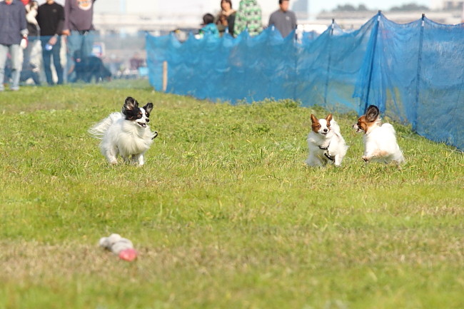 c0044199_14294377.jpg