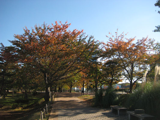 b0097200_23203958.jpg