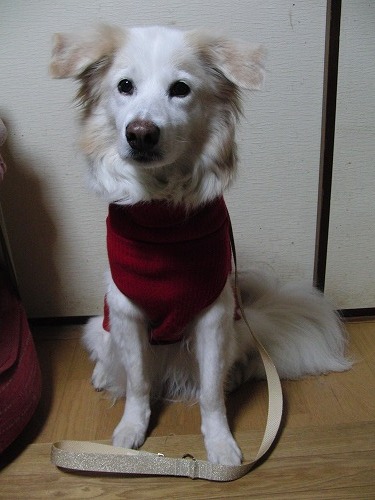 a0032004_0405090.jpg