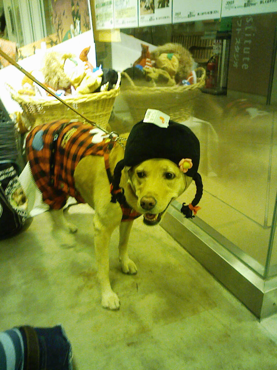 a0032004_1225889.jpg