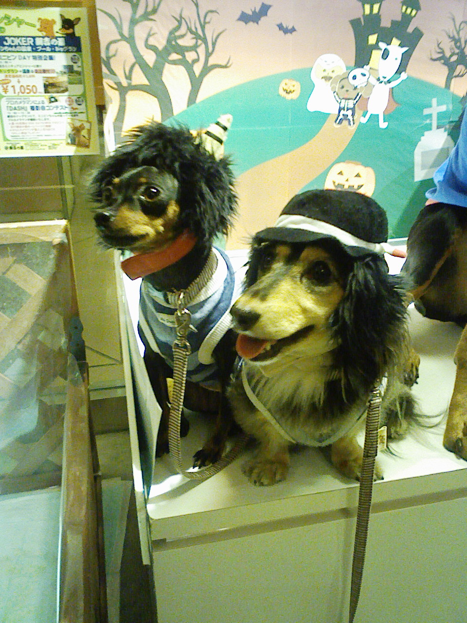 a0032004_1255938.jpg
