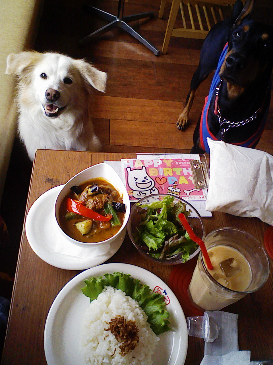 a0032004_133487.jpg