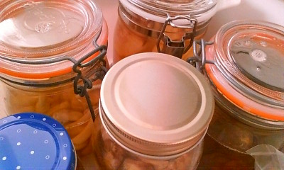f0187704_100561.jpg