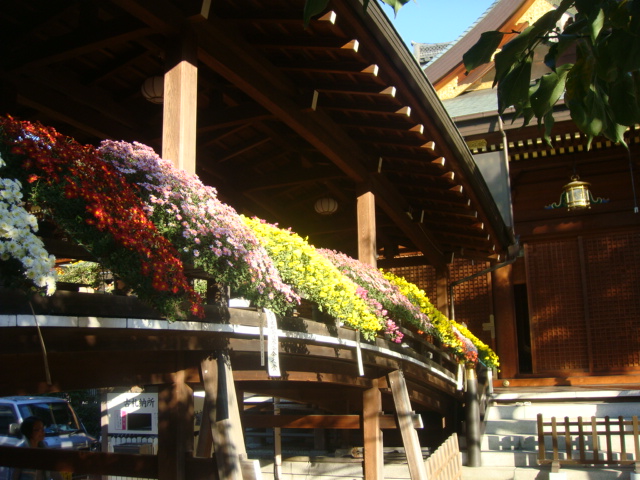 d0126508_3144570.jpg