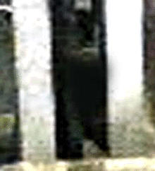 e0103408_12475926.gif