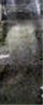 e0103408_12564515.gif