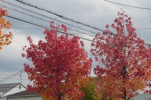 f0221708_16294291.jpg