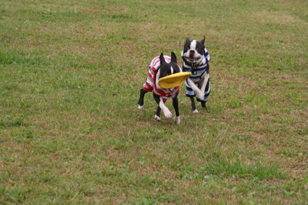 f0186509_19244816.jpg
