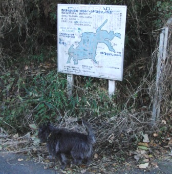 e0078510_2356326.jpg