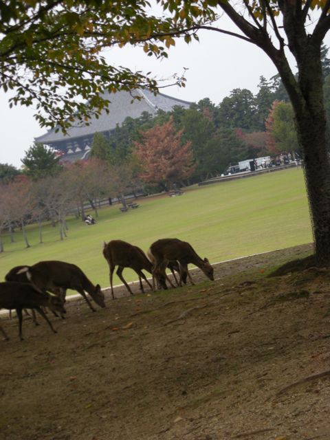 b0183911_10445267.jpg