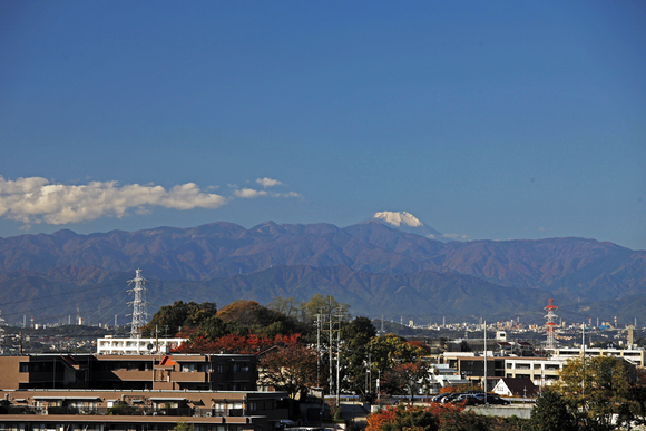 d0195013_9262212.jpg